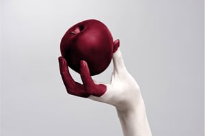 Octrooi: recht om te verbieden, niet om te gebruiken (deel 3)