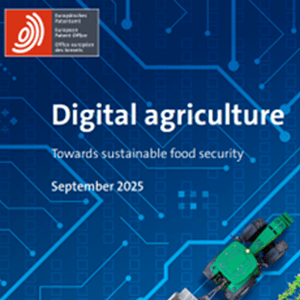 Afbeelding blog GG oktober 2025 3