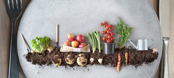 20-07-rival-foods-nieuwsbrief