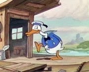 Donald Duck