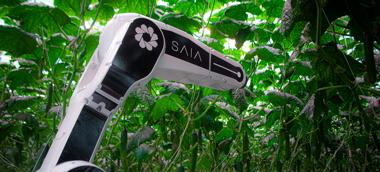 SAIA robot
