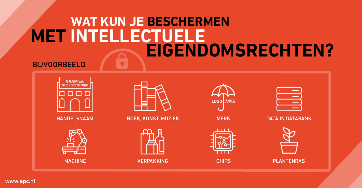 Infographic wat kun je beschermen met intellectueel eigendom