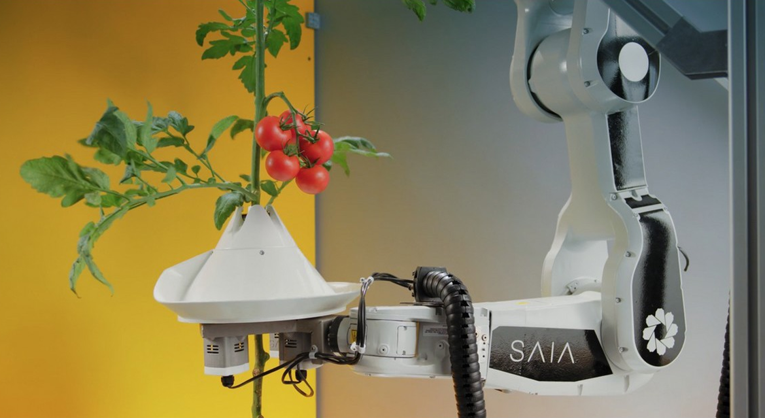 SAIA Robot met plant