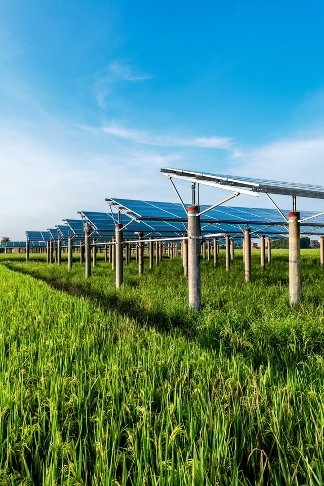Section - solar-power-plant-2023-11-27-05-25-27-utc (1)-1