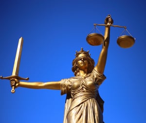 Verschil octrooigemachtigde en advocaat sep 24
