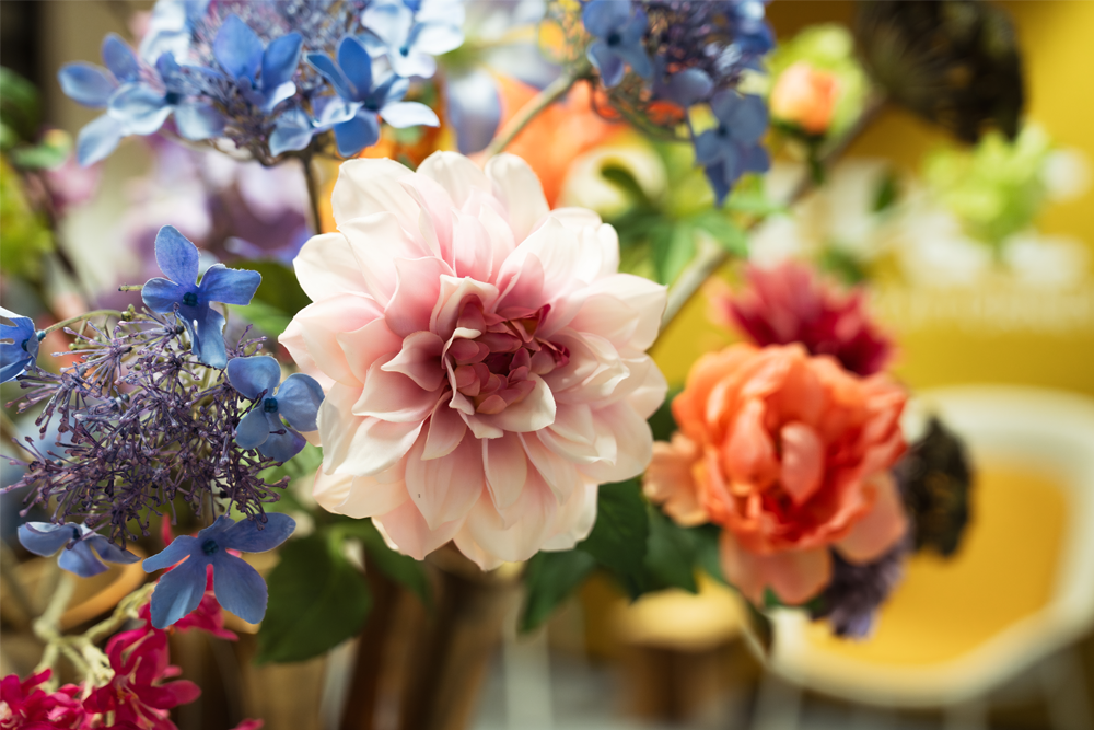 bloemen 1000x667